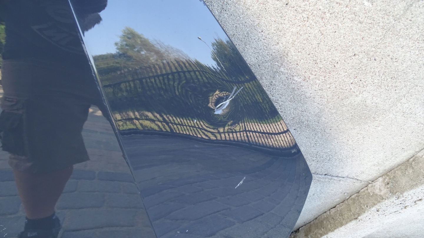 Motorhaube SEAT Alhambra 7N Bonnet 7N5823155 Hood - Thumbnail 5