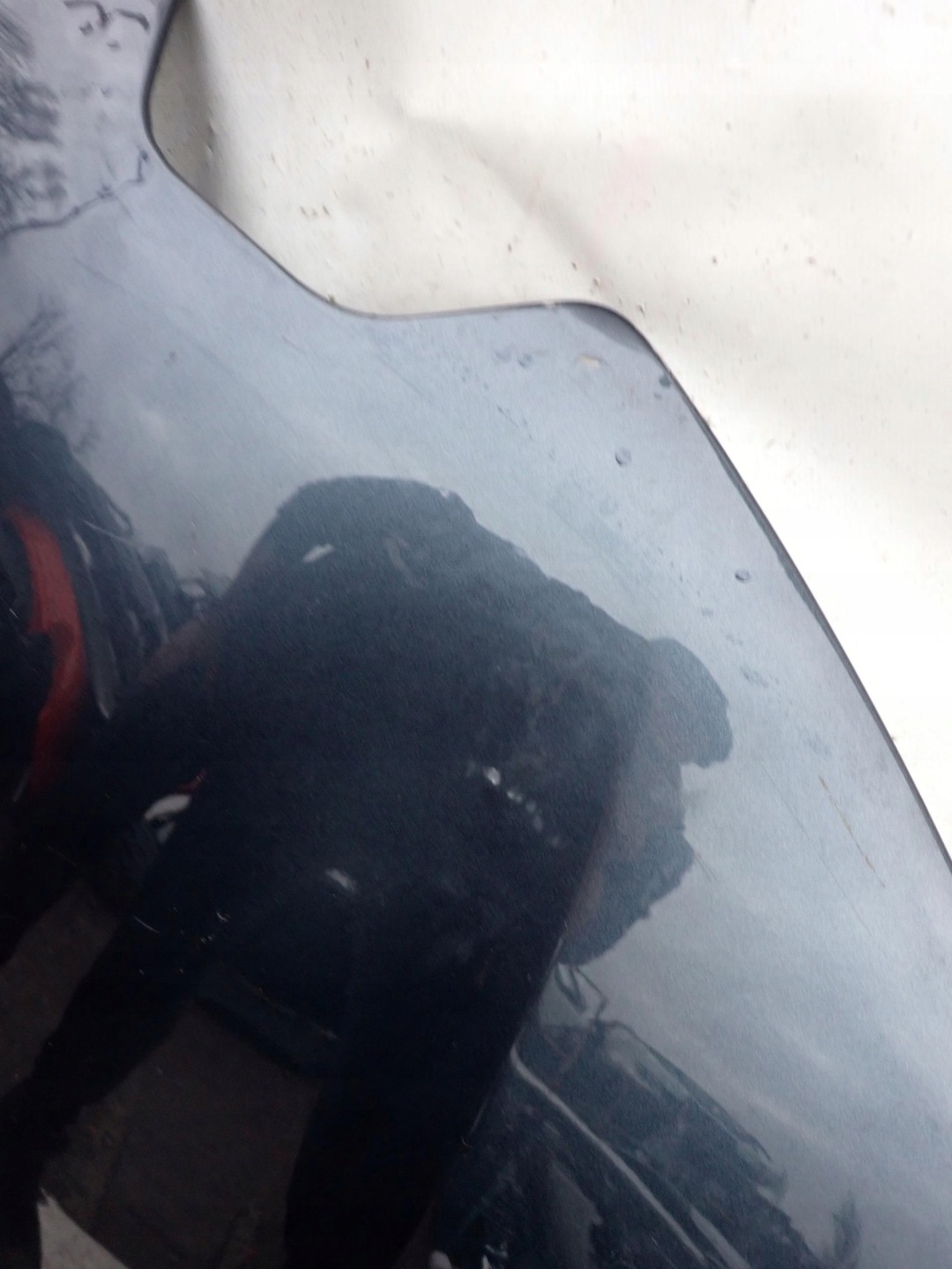 Motorhaube Renault Zoe AG Bonnet 1102MITSUCR Hood - Thumbnail 7
