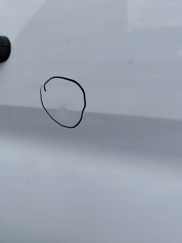 Ford Transit VII Tür Vorne Rechts Door Porta Porte - Thumbnail 3