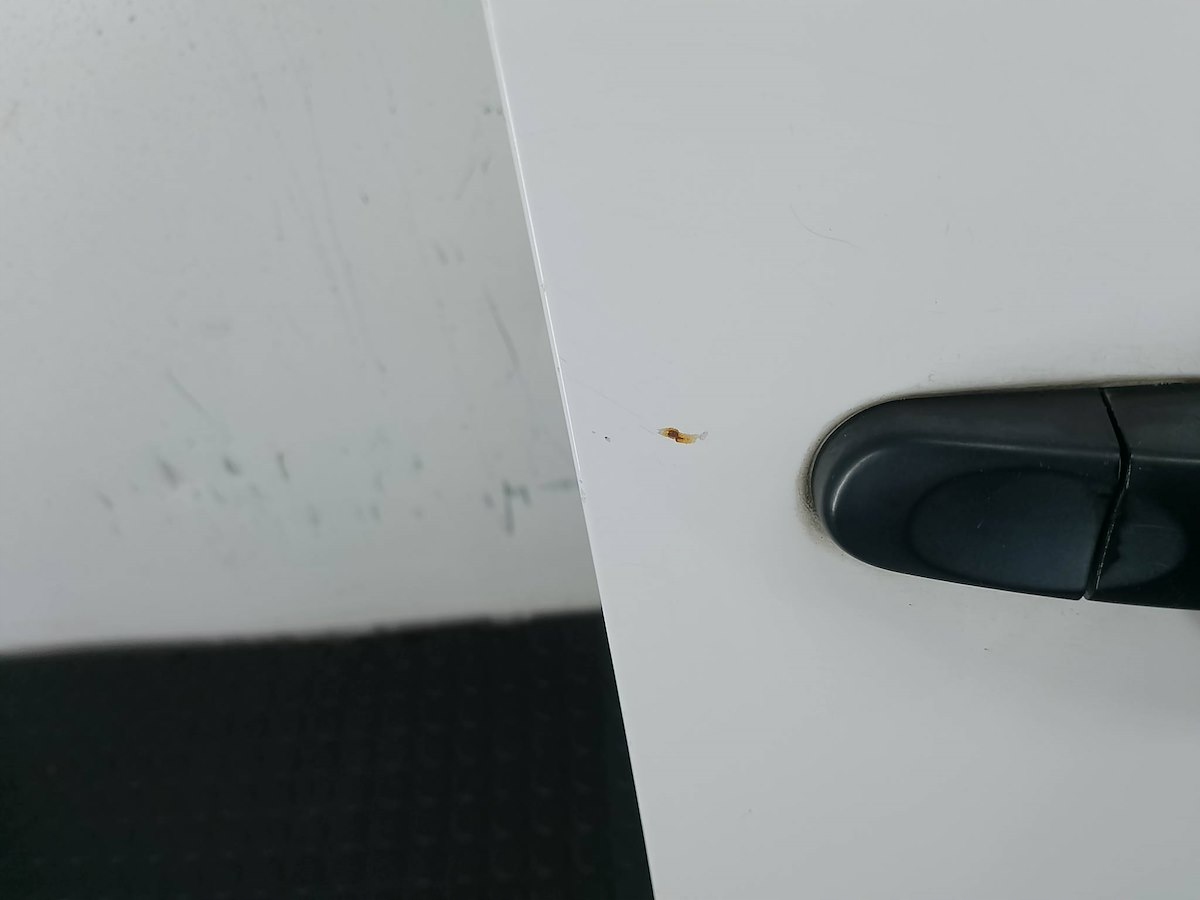 VW Caddy Tür Vorne Rechts Door Porta Porte - Thumbnail 7