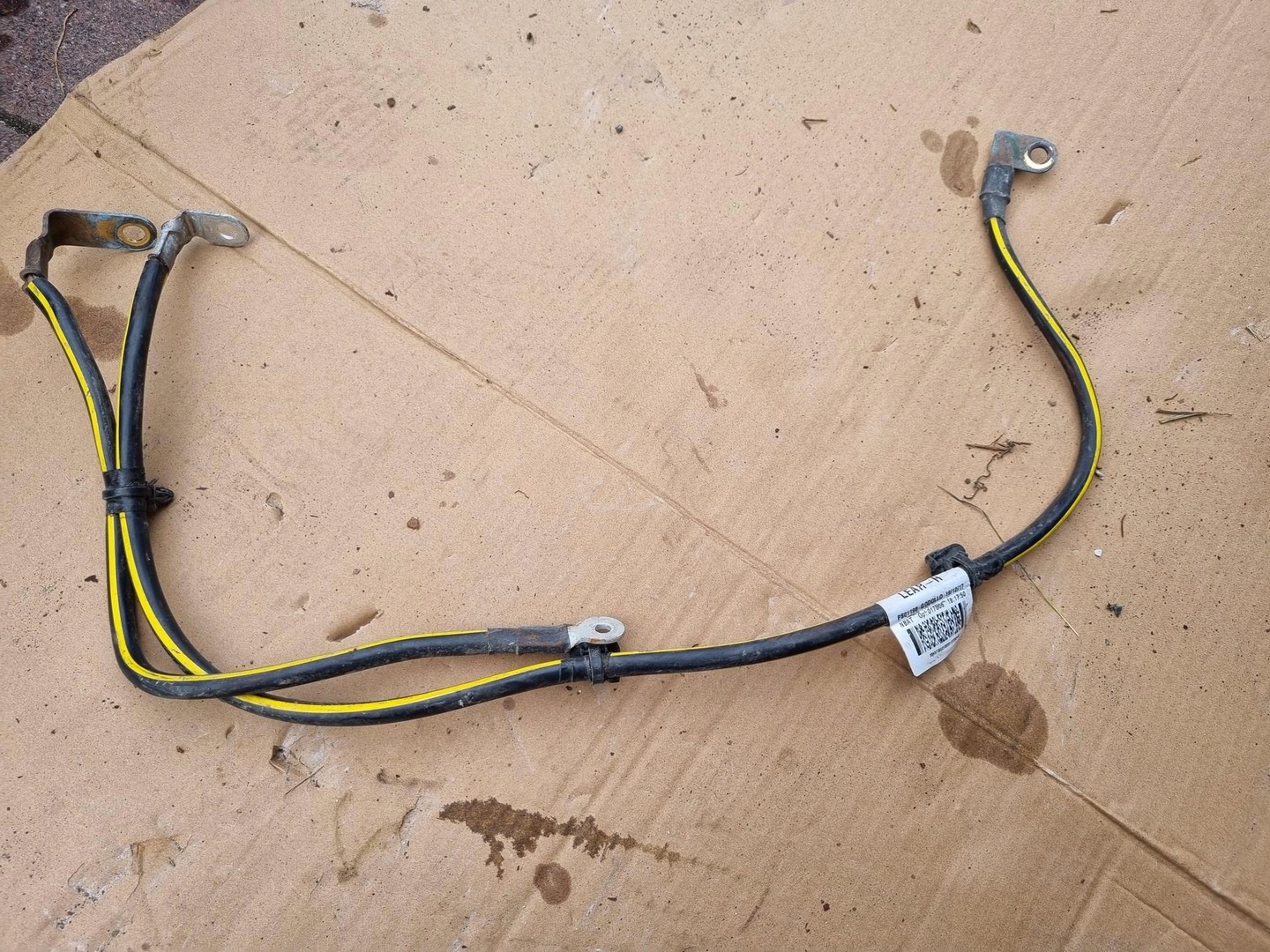 maiu② Męska Koszulka z krótkim rękawem IGUANA EUFORI M000263692