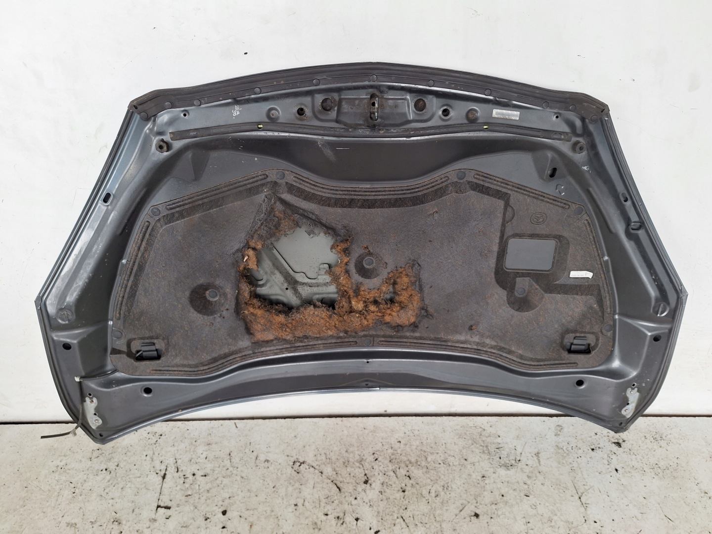 Motorhaube Mazda 5 CW Bonnet Hood - Thumbnail 4