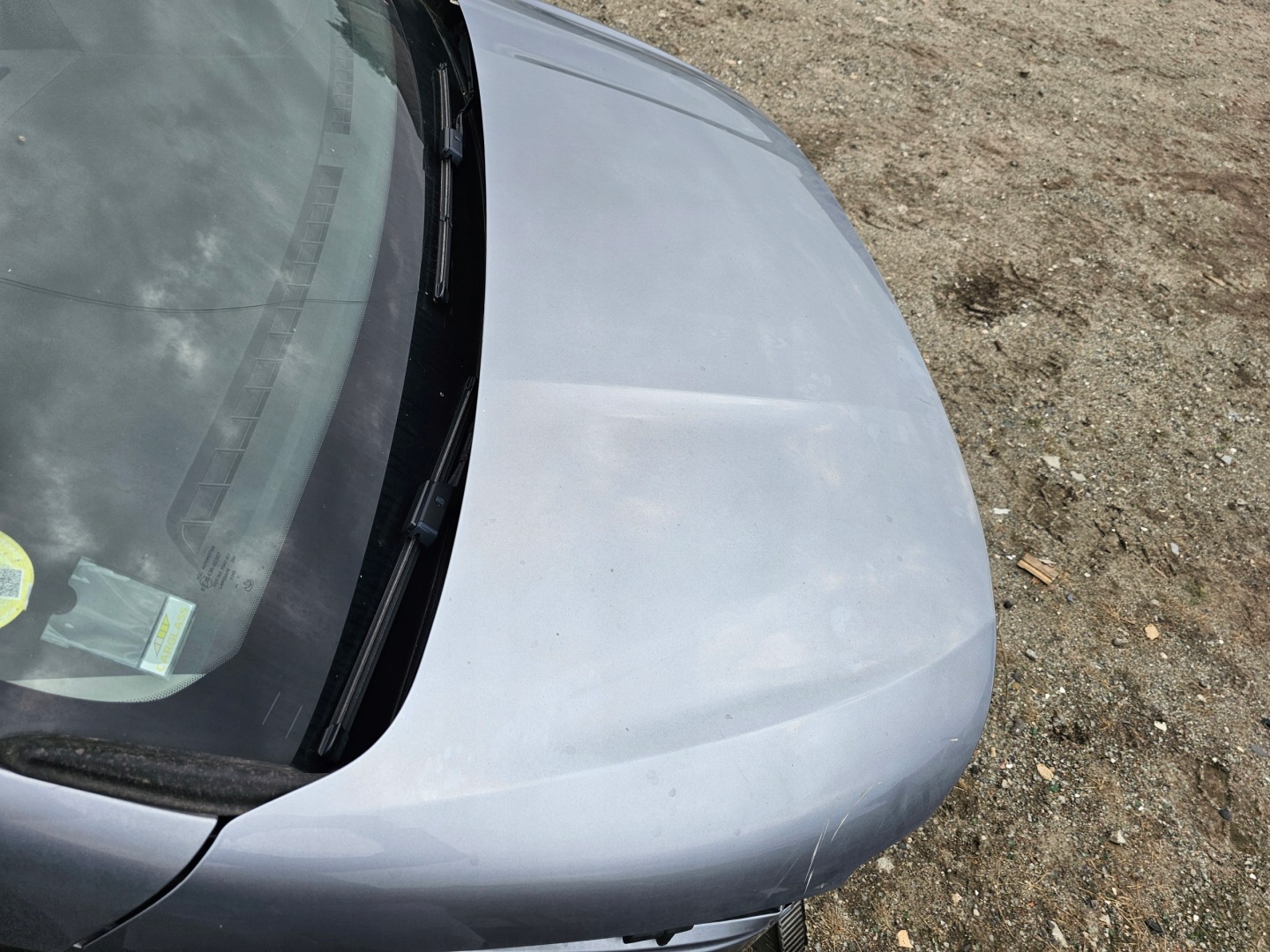 Motorhaube Peugeot Partner 7* Bonnet Hood - Thumbnail 6