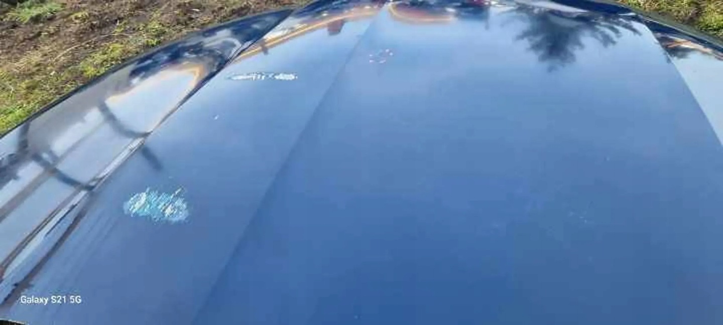 Motorhaube Skoda Rapid NH Bonnet Hood - Thumbnail 6