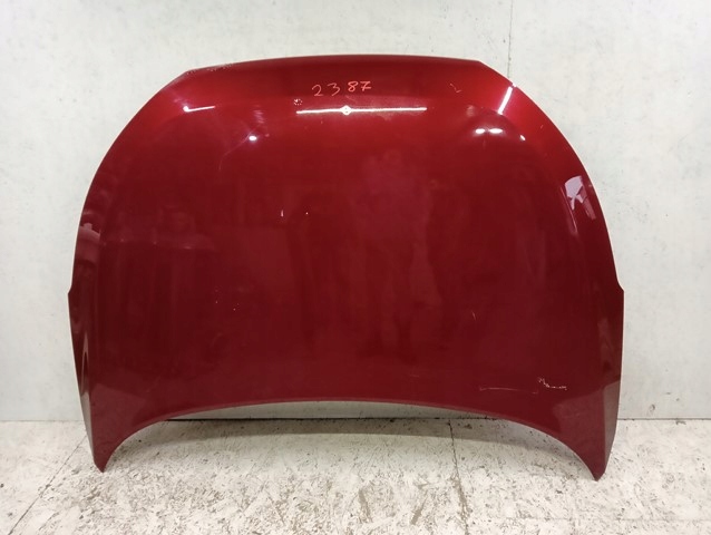Motorhaube Hyundai Tucson NX4E Bonnet Hood - Thumbnail 1
