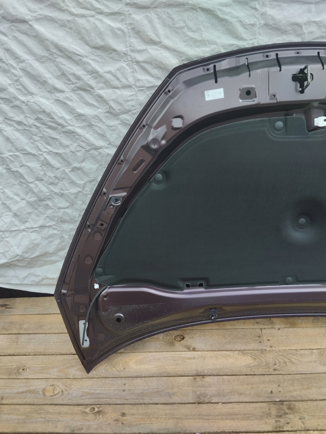 Motorhaube Toyota C-HR X20 Bonnet Hood - Thumbnail 8