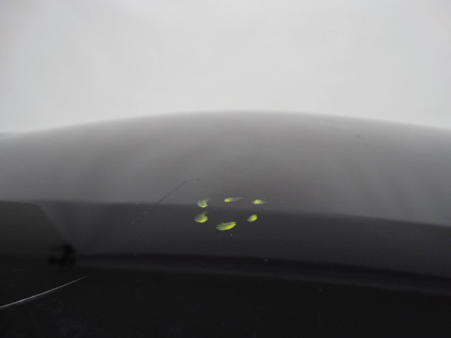 Motorhaube Nissan Micra K14 Bonnet Hood - Thumbnail 8