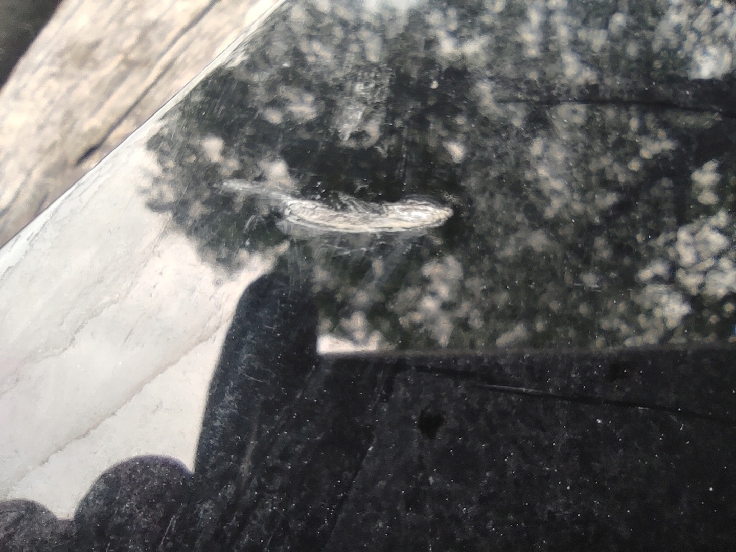 Motorhaube Audi A4 B9 Bonnet Hood - Thumbnail 4