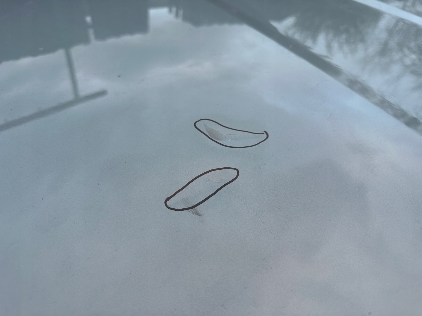 Motorhaube BMW 5 G61 Bonnet Hood - Thumbnail 4