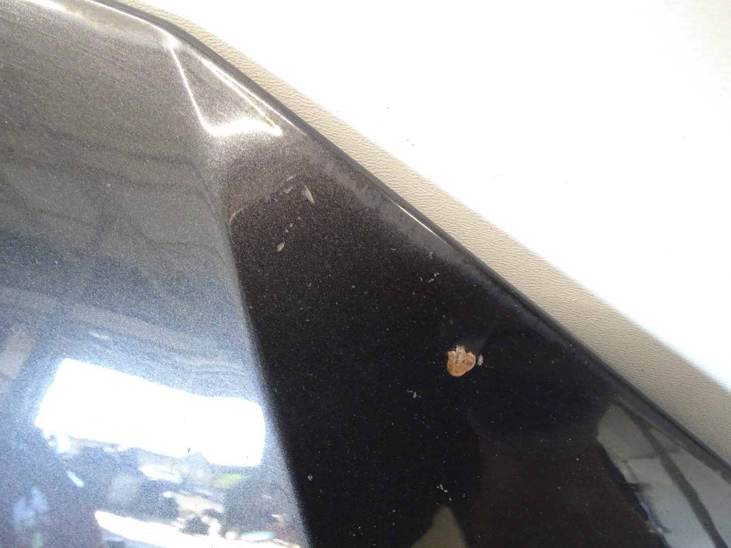 Motorhaube VW Passat B8 Bonnet Hood - Thumbnail 6
