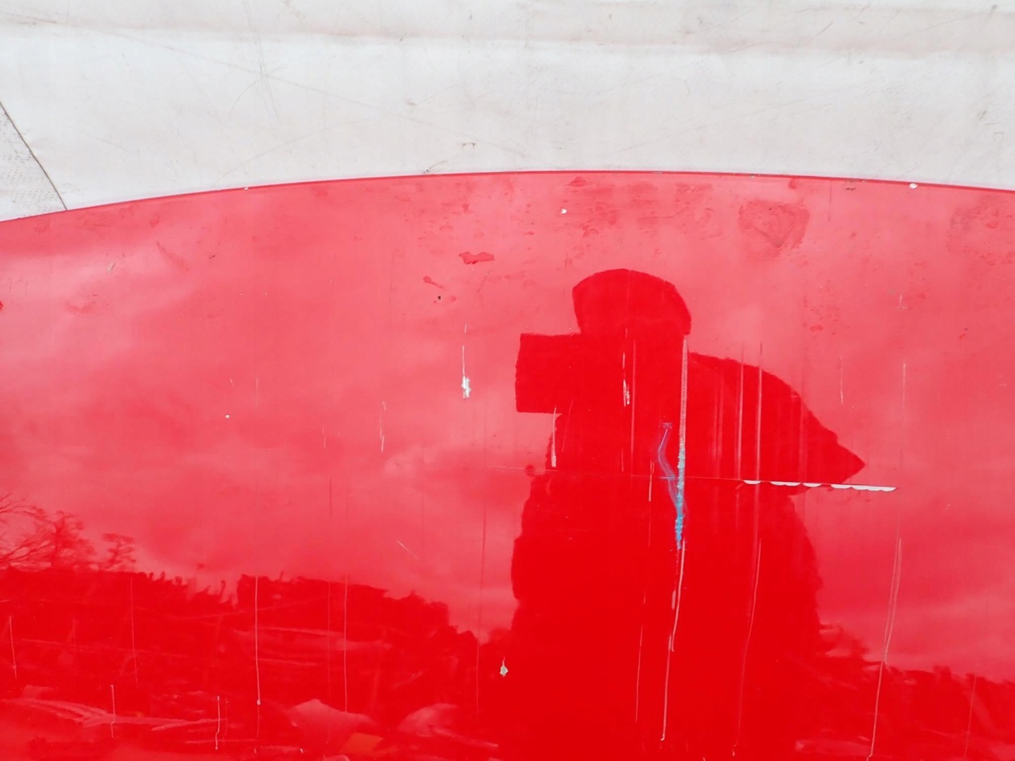 Motorhaube Citroen C4 Bonnet Hood - Thumbnail 6