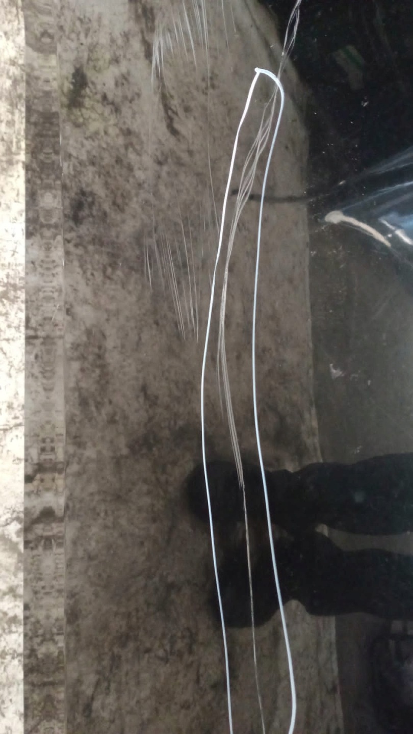 Motorhaube Toyota Verso AR2 Bonnet Hood - Thumbnail 2