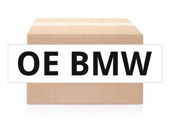 Alyvos siurblio elementas BMW 11 41 7 811 924