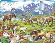Skladačka Flóra a fauna arktickej tundry 50