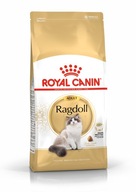 Sucha karma dla kota Royal Canin Ragdoll Adult 10 kg