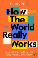 How the World Really Works: A Scientists Guide to