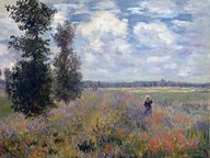 Obraz Poppy Fields near Argenteuil - Monet 70x50