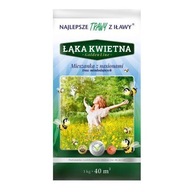 TRAWA Z IŁAWY KWIETNA ŁĄKA 1 KG