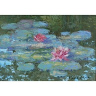 Górecki, Vodné ľalie ružové kvety príroda voda