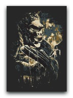 King Kong - OBRAZ 80x60 canvas goryl małpa plakat