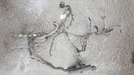 wiring bundle door left rear part BMW X5 E70 OE EU