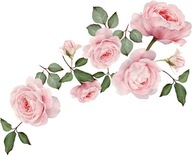 Naklejka na ścianę róże kwiaty liście piwonie akwa