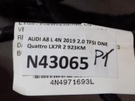 AUDI A8 4N D5 kabelbaum kabelsatz Tür rechts heck 4N4971693L