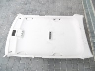CIELO INTERNO SKODA FABIA II 2 2007- HB 5D