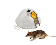 Żywołapka na myszy z 1 otworem deratyzacja