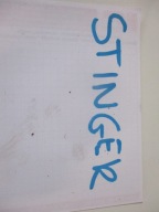 kryt motoru KIA STINGER