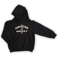 Čierna mikina s kapucňou Hockey Coyotes Reebok 110