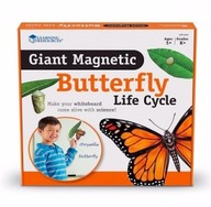 Cykl rozwoju motyla - zestaw magnetyczny
