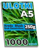 ULOTKI dwustronne A5 KREDA Błysk 250g - 1000 sztuk