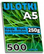 ULOTKI dwustronne A5 KREDA Błysk 250g - 500 sztuk