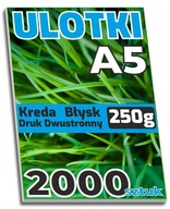 ULOTKI dwustronne A5 KREDA Błysk 250g - 2000 sztuk