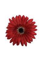 Gerbera veľká hlavička 16 cm tmavo červená