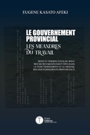 Le gouvernement provincial: Les meandres du travail (French Edition) Afeki,