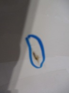 door right rear. MERCEDES 211 KOMBI