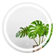 LED zrkadlo Okrúhle 70 cm Moderné RING brúsené podsvietenie Touch