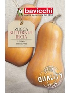 acm Dynia Butternut. Włoskie nasiona Bavicchi. 3g