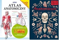 Atlas anatomiczny + Anatomicum. Muzeum Anatomii