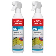 HG środek do usuwania pleśni grzyba ze ścian spray profesjonalny 650ml x2