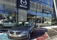 Skoda Karoq Pierwszy wlasciciel, Salon PL, Bez...