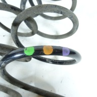 CITROEN C3 PICASSO 1.6HDI spring rear part