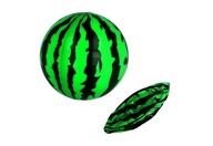 LOPTA melón GUMOVÁ PUMPOVANÁ NA HRU 24 cm farby