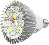 Lampa LED- słoneczne światło roślinne