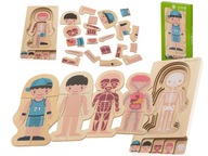 Puzzle drewniane budowa ciała montessori chłopiec warstwowe