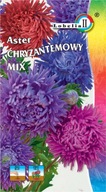 Aster Chryzantémový Mix 1g