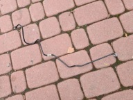 wiring pipe hose ABS FL Opel Astra K V BUP