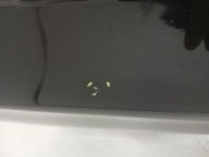 door left front BMW E87 475/9 BLACK SAPPHIRE
